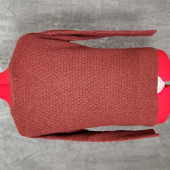 American Eagle Outfitters rust colored v neck sweater size XS - Picture 4 of 12